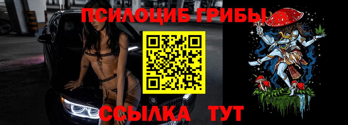 Псилоцибиновые грибы GOLDEN TEACHER Красноармейск